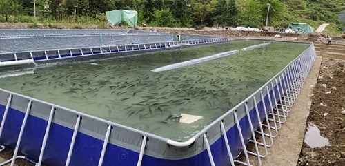 貴州遵義移動(dòng)式支架跑道池進(jìn)行高密度養(yǎng)魚(yú)